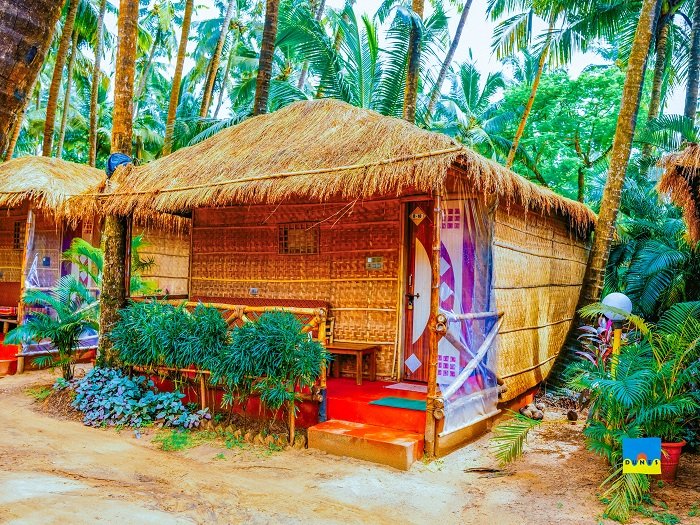 The Ultimate Guide to Mandrem Beach, Goa